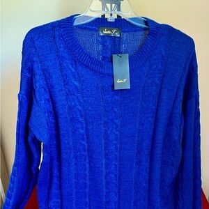 Royal Blue Knit Sweater and Skirt